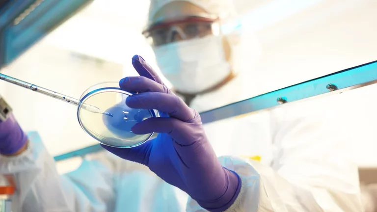 Pharma - Cell culture - iStock-530817998